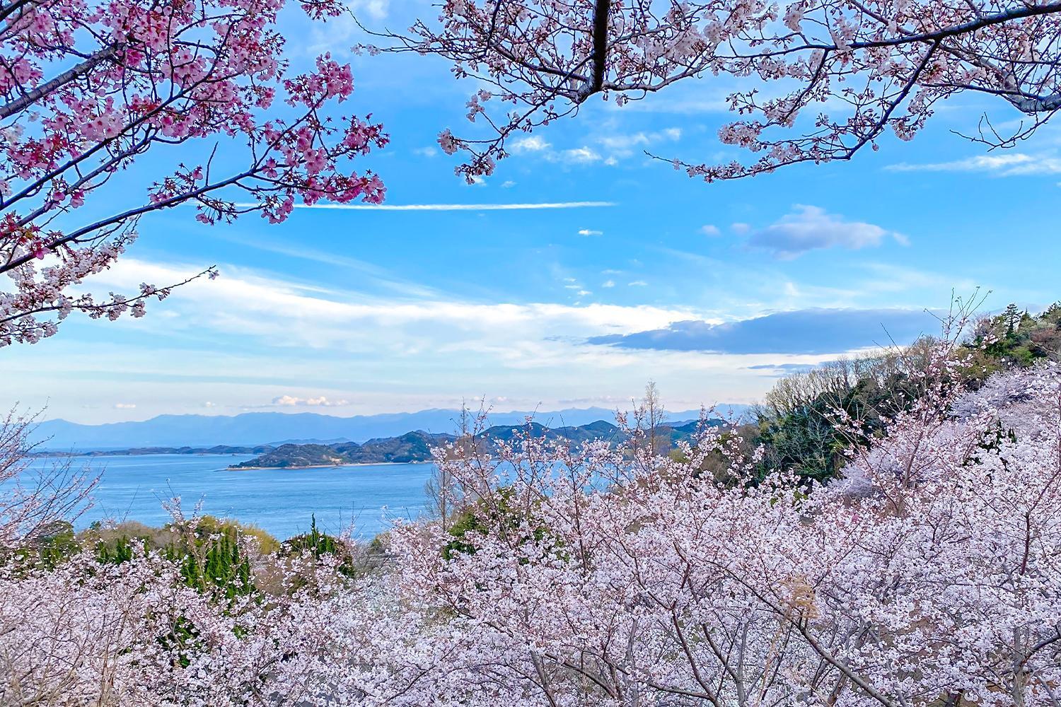 Lemon Farm Glamping Simanami Villa Onomichi Eksteriør bilde